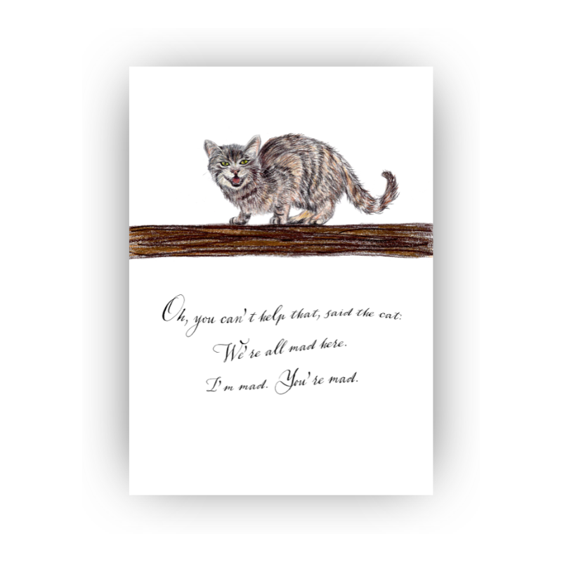 The Cat’s Conundrum: Chesire Cat