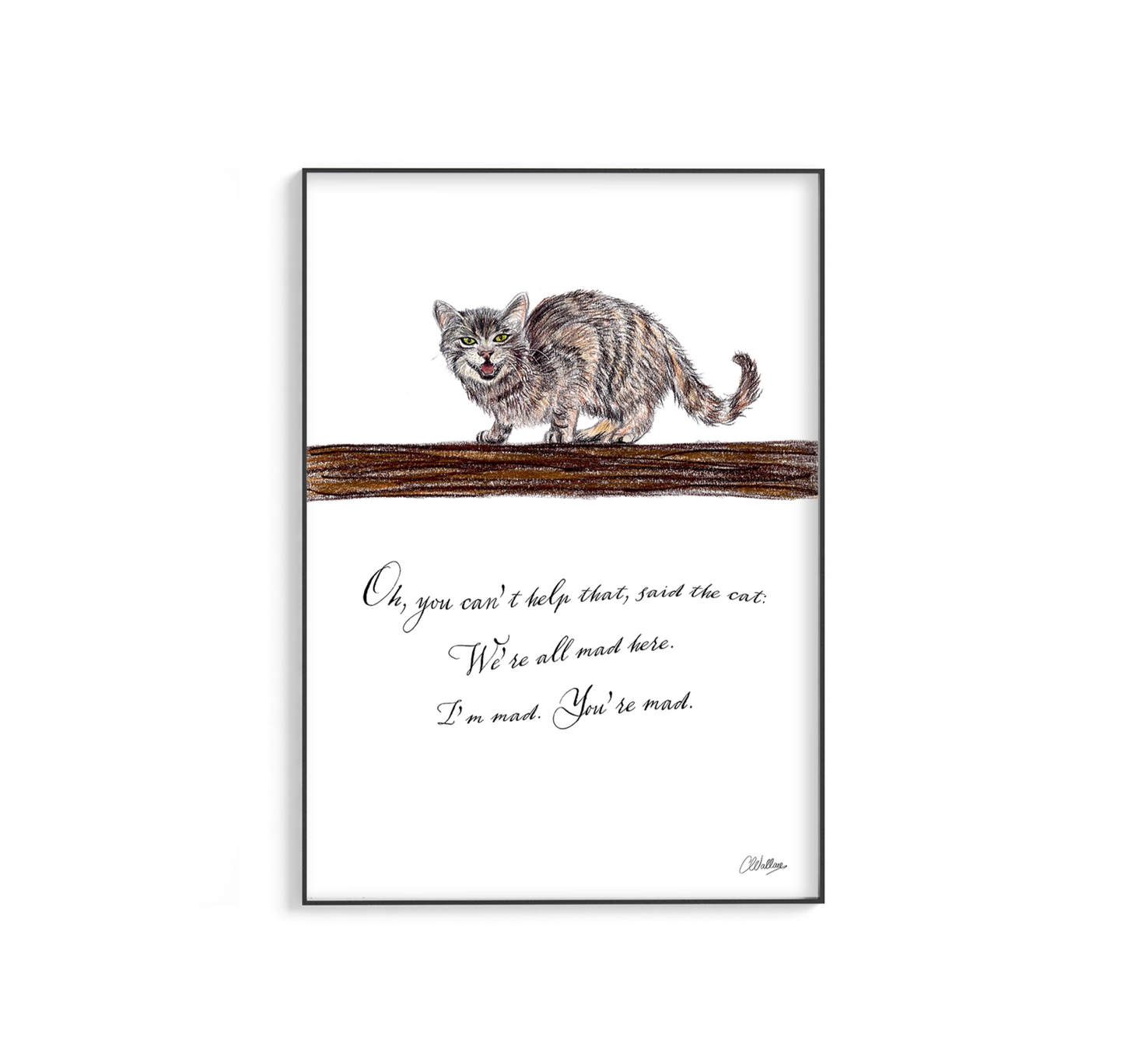 The Cat’s Conundrum: Chesire Cat